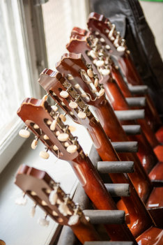 A row of guitars