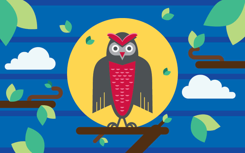Illustration of new owl mascot