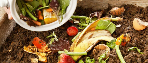 Food being added to a compost bin